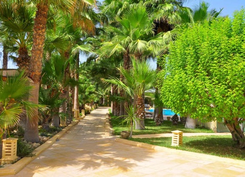 Club Jumbo Ksar Djerba 4* - 32