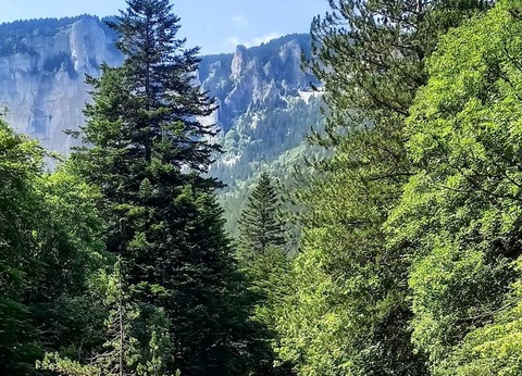 Camping Le Champ Long, 3* - 8