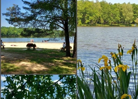 Camping la Ripole, 3* - 6