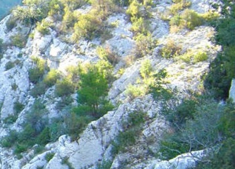 Camping Le Clos de Barbey, 3* - 17