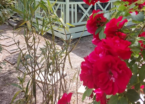 Camping des Sources, 3* - 37