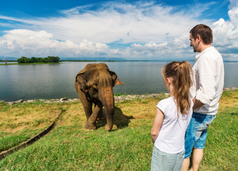Circuit Sri Lanka Insolite - 18