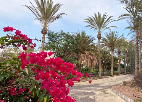 Hôtel Smart Club Drago Park 4* - 3