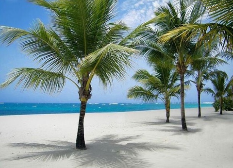 Viva Heavens by Wyndham 4* - 15