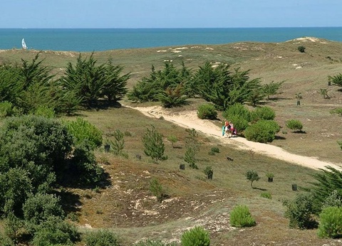Camping La Parée du Jonc, 3* - 36