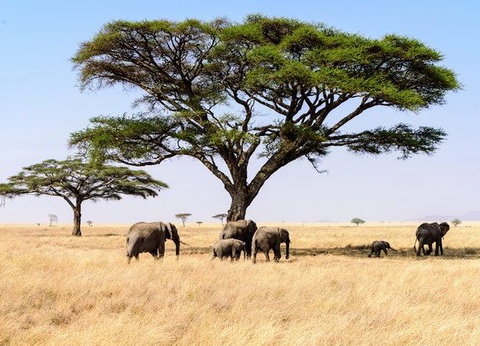 Circuit Sensations tanzaniennes - 11