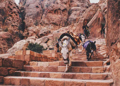 Circuit Sur les traces des Nabatéens : d'Amman aux sables du Wadi Rum **** - 10