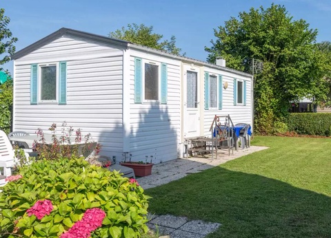 Flower Camping Vitamin, 4* - 10