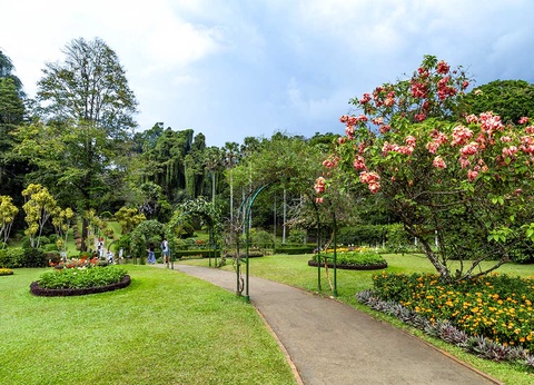 Circuit Majestueuse île de Ceylan et Jaffna - 11