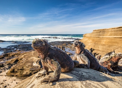 Circuit Trésors de l'Equateur et des Galapagos - 9