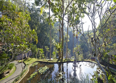 Club Framissima Tjampuhan et Spa 4* - 16