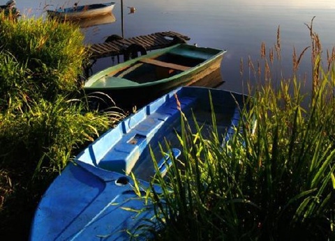 Camping Landes Bleues, 4* - 43