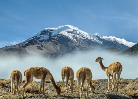 Circuit Découverte de l'Equateur 13J/11N - 5