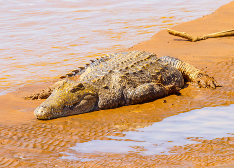 Circuit Safaris de Légende - 3