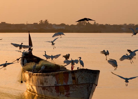 Circuit Mythes & charmes du Sénégal en privatif *** - 30