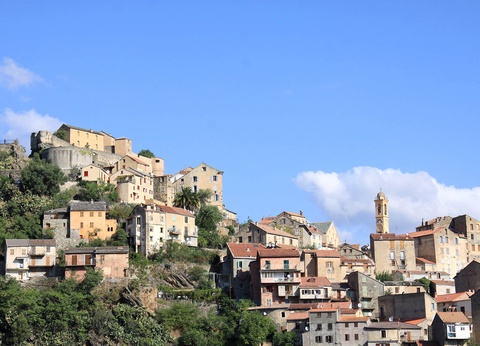 Stella Corsica Calvi ( sans transport ) - 2