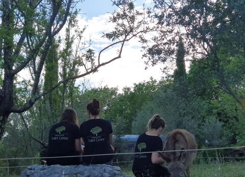 Domaine Saint Cerice, 1* - 24