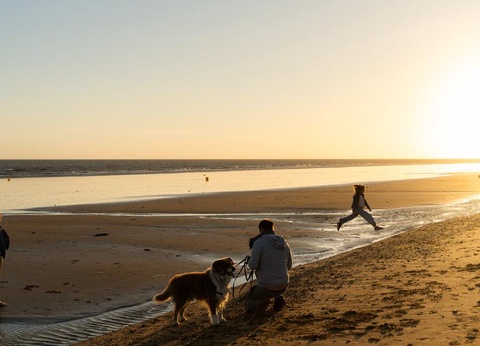 Camping L'Abri des Pins, 4* - 194