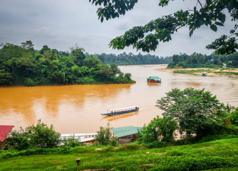 Malaisie en Liberté, Sur les Terres Sauvages de Taman Negara 3* - 18