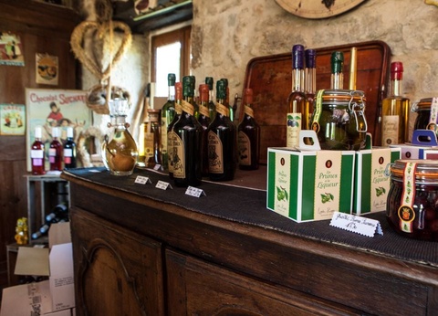 Camping Domaine La Faurie, 4* - 26