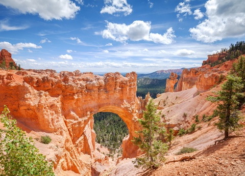 Circuit Merveilleux Ouest américain et les Rocheuses - 24
