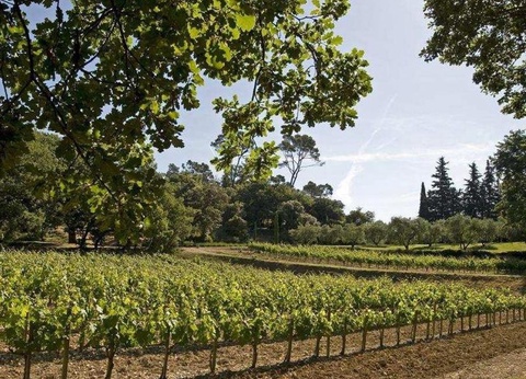 Flower Camping La Vidaresse, 3* - 28