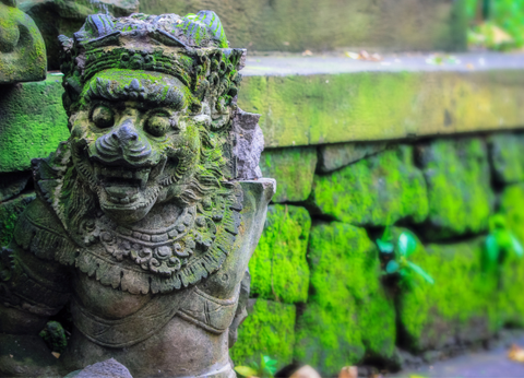 Combiné Rizières et Plage sur l'île des Dieux - 24
