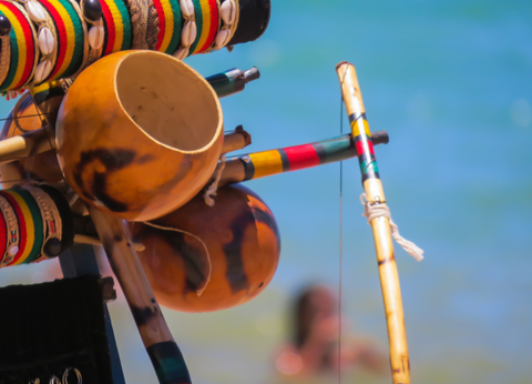 Circuit Baianas et Cariocas, Trésors du Brésil et Plaines du Pantanal - 16