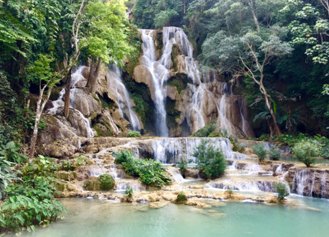 Circuit Lotus du Laos - 5