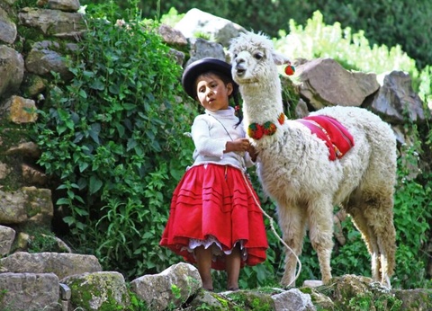Circuit Découverte de la Bolivie, La Perle des Andes - 11
