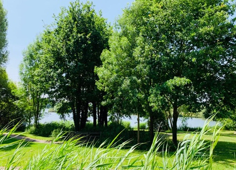 Natura Resort Pescalis, 3* - 23