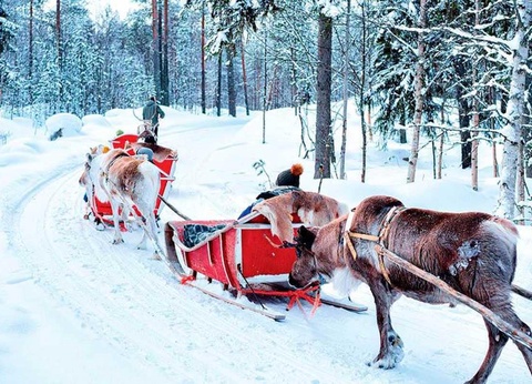 Circuit Laponie, aurores et cap Nord - 16