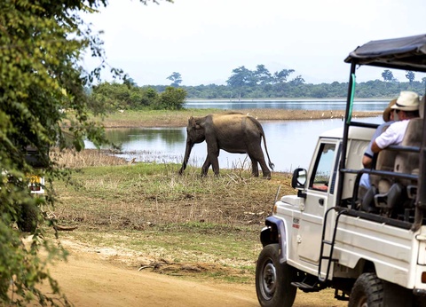 Circuit Découverte du Sri Lanka - 5