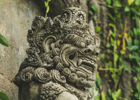 Circuit De la jungle d'Ubud aux vagues de Nusa Lembongan **** - 6