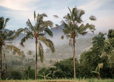 Circuit Aventure indonésienne : immersion à Java et Bali - 9