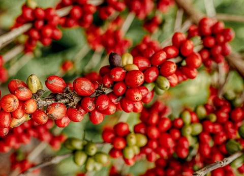 Circuit Rêve caribéen : voyage d'exception à travers les visages de la République Dominicaine - 3