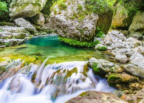 Camping Sites et Paysages - Les Pinèdes, 4* - 30