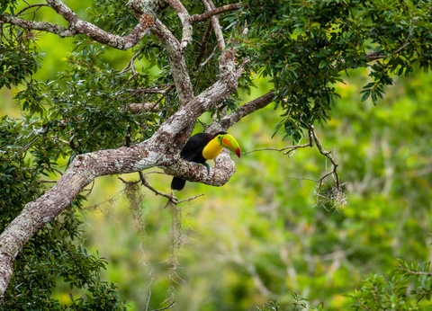 Circuit Mexique, terre des anciens Dieux - 5
