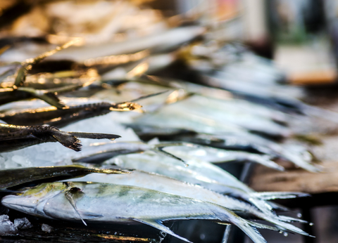 Circuit L'essentiel du Sri Lanka et plage de Kalutara - 14