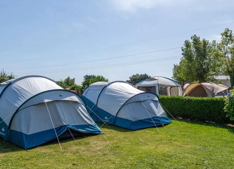 Flower Camping Vitamin, 4* - 19