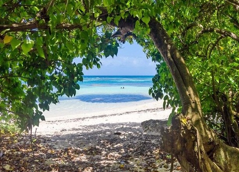 Les KAZ Créoles - 17