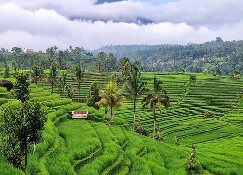 Combiné circuit Charmes balinais et séjour Ôclub Select Merusaka Nusa Dua 5* - 5