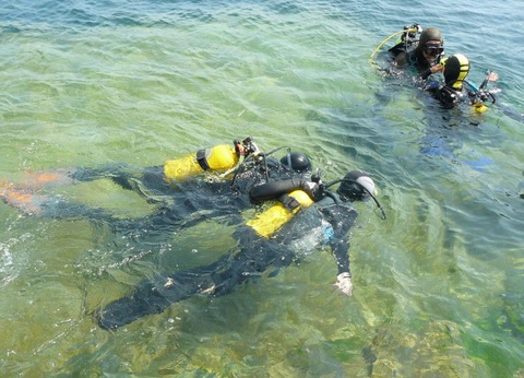 Flower Camping le Kergariou, 3* - 99