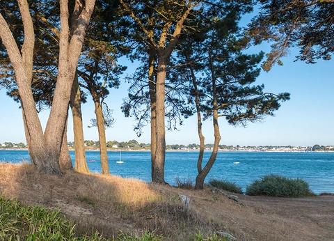 Camping Penn Mar 3* - 11