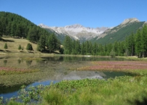 Camping Saint James Les Pins, 3* - 33