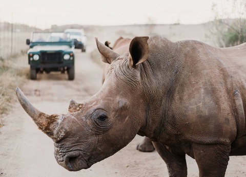 Circuit Essence de l'Afrique du Sud : du Cap aux terres sauvages **** - 16
