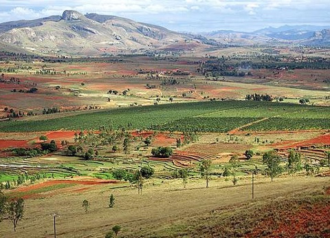 Circuit Intense Madagascar le long de la Route Nationale 7 - 14