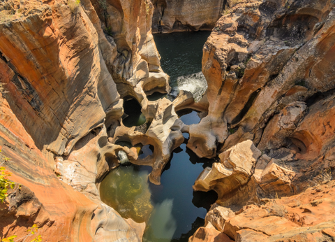 Circuit Du Parc Kruger au Cap de Bonne Espérance - 17