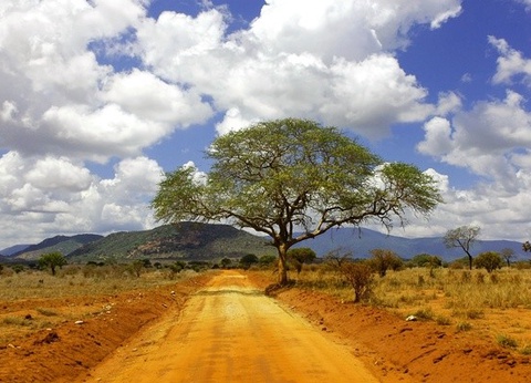 Combiné Circuit et Hôtel Papillon Lagoon Reef 3* - 9