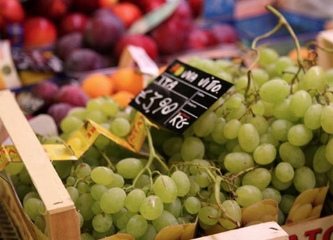 Camping Italy Camping Village, 4* - 38